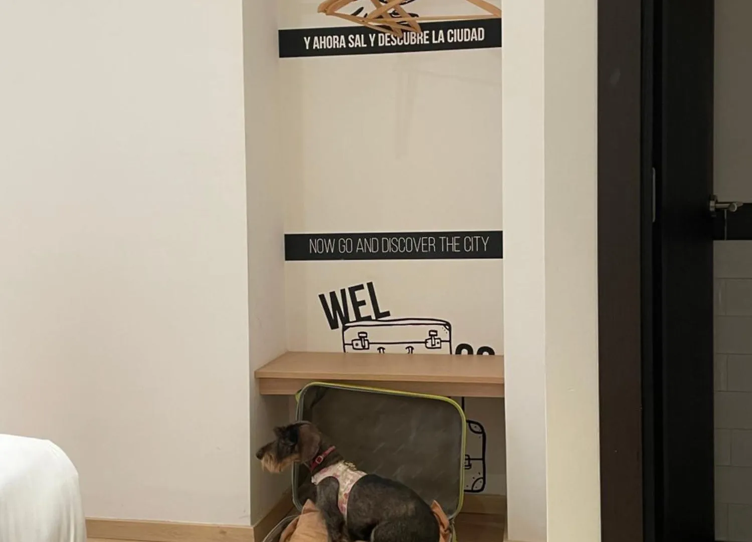 U-Sense For You Hostel Sevilla