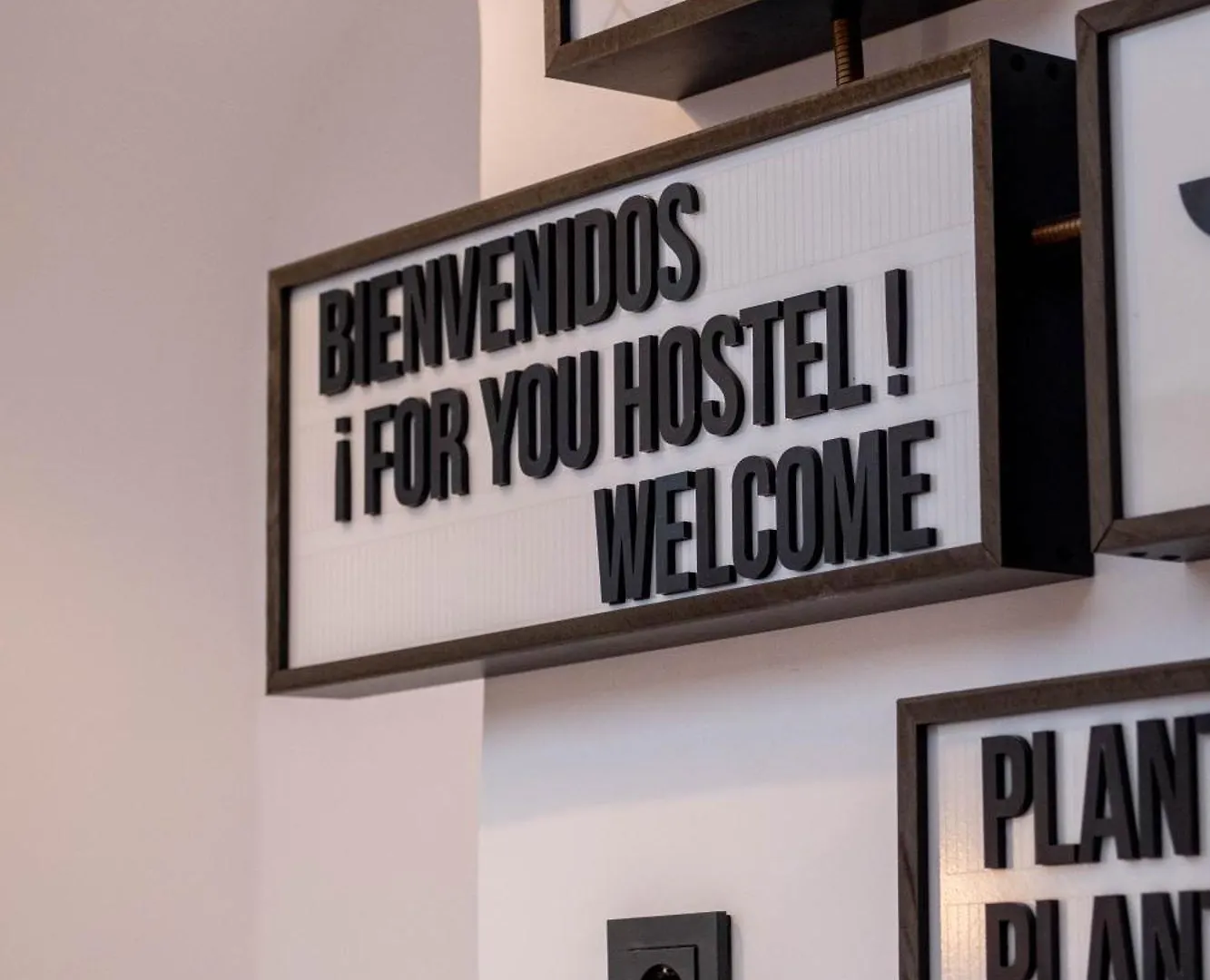 U-Sense For You Hostel Sevilla İspanya